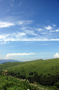 霧ヶ峰